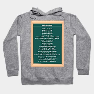 Algebraic Formulas Hoodie